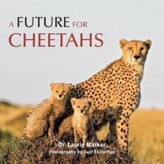 Future for Cheetahs