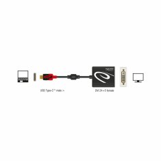 Delock pretvornik USB 3.1 TipC-DVI 24+5 4K 30Hz 61213