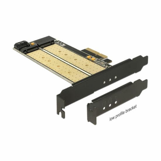 Delock kartica PCIe kontroler x4 1xM.2 NVMe + 1xM.2 NGFF + Low Profile
