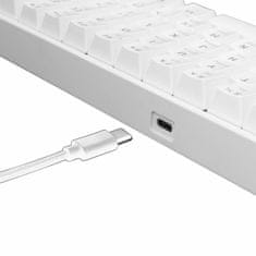 White Shark tipkovnica USB bela/rjava mehanska stikala SLO GK-2022 SHINOBI-W