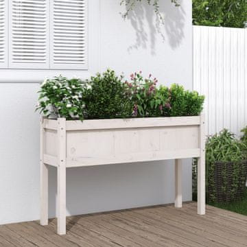 Vidaxl Vrtno korito z nogami belo 110x31x70 cm trdna borovina