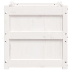 Vidaxl Vrtno cvetlično korito belo 50x50x50 cm trdna borovina