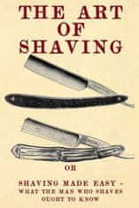 Art of Shaving