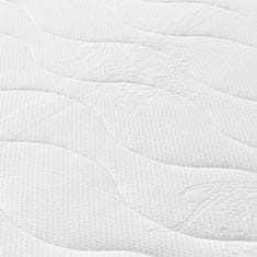 Vidaxl vidaXL Vzmetnica z žepkastimi vzmetmi, srednja trdota, 70x200 cm