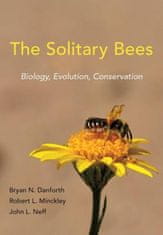 Solitary Bees