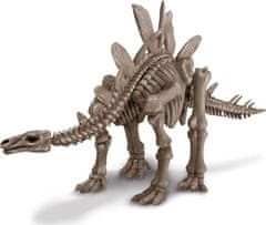 Mac Toys Skelet dinozavra - Stegozaver