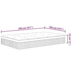 Vidaxl Vzmetnica z žepkastim vzmetenjem srednje plus 100x200cm