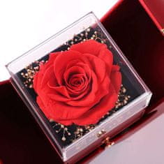 Lovilion Ogrlica HEARTS s prepletenimi srčki in darilno škatlo, Valentinovo darilo 2024, rožnato zlata ogrlica s kristali cikronije - HEARTS_APPLEROSE