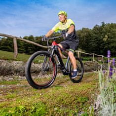 MTF Gorsko električno kolo Mount 7.4 (21"), 29", 95 Nm, baterija Samsung 36 V/19.6 Ah (705 Wh) do 160 km, 9 prestav Shimano