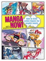 Rayher.	 Knjiga Manga Now!