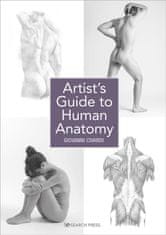 Rayher.	 Knjiga Artists Guide to Human Anatomy