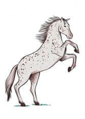 Rayher.	 Knjiga Horses and Ponies