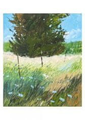 Rayher.	 Knjiga Palette Knife Painting in Acrylics