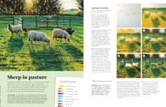 Rayher.	 Knjiga Paint 50 Landscapes