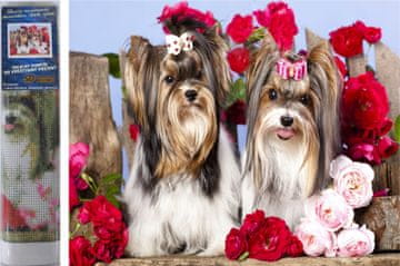 Norimpex Diamantna slika Psi v vrtnicah 30x40cm