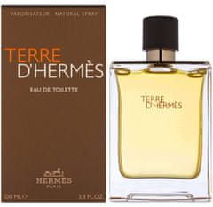 Hermès Terre D´ Hermes - EDT 50 ml