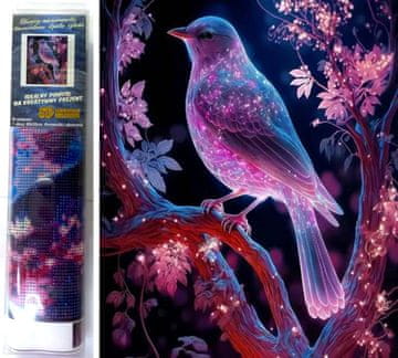 Norimpex Diamantna slika Nočna ptica 30x40cm