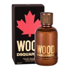 Dsquared² Wood 100 ml toaletna voda za moške