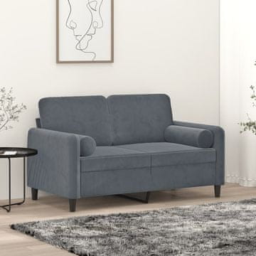 Vidaxl vidaXL Dvosed z blazinami, temno siv, 120 cm, žamet