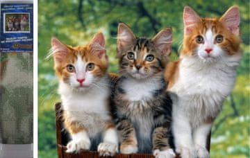 Norimpex Diamantna slika Mačke 30x40cm