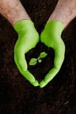 MERCATOR MEDICAL Zaščitne nitrilne rokavice brez pudra, 50 kos, M, zelene
