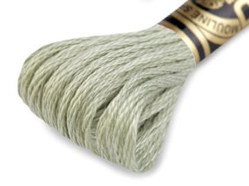Vezeninska preja DMC Mouliné Spécial Cotton - Ambrosia