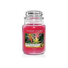 Yankee Candle Aromatična sveča velika Tropical Jungle 623 g
