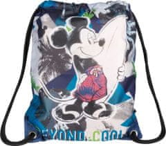 Mickeyjeva torba