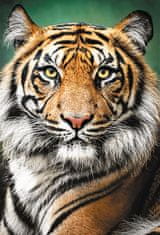 Trefl Puzzle Tiger portret 1500 kosov