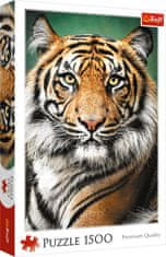 Trefl Puzzle Tiger portret 1500 kosov