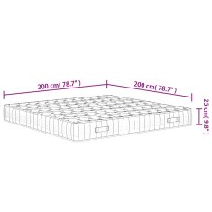 Vidaxl Vzmetnica z žepkastim vzmetenjem srednje trda 200x200 cm