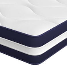 Vidaxl Vzmetnica z žepkastim vzmetenjem srednje trda 90x190 cm enojna