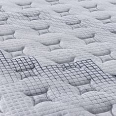Vidaxl Vzmetnica z žepkastim vzmetenjem srednja 120x200 cm