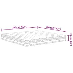 Vidaxl Vzmetnica z žepkastim vzmetenjem srednja 200x200 cm