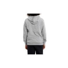 Champion Športni pulover 132 - 143 cm/M Hooded Sweatshirt