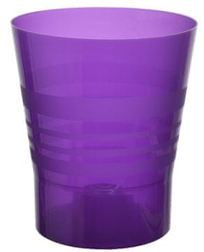 Orhideja v cvetličnem loncu - temno vijolična 11 cm