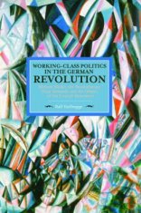 Working Class Politics In The German Revolution (historical Materialsim, Volume 77)