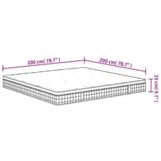 Vidaxl Vzmetnica z bonnell vzmetenjem srednje trda 200x200 cm