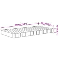 Vidaxl Vzmetnica iz pene srednje mehka 100x200 cm