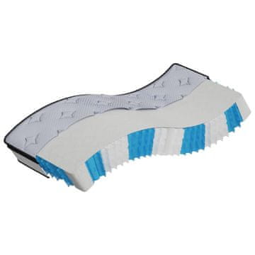 Vidaxl Vzmetnica z žepkastim vzmetenjem srednja 70x200 cm