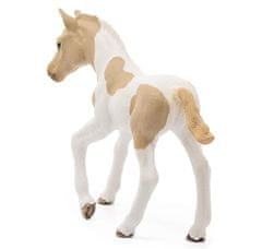SLH13886 Schleich Horse Club - Konjsko žrebe pasme Paint, konjska figura za otroke od 5. leta naprej