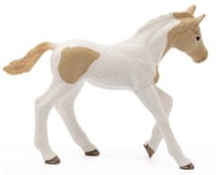 sarcia.eu SLH13886 Schleich Horse Club - Konjsko žrebe pasme Paint, konjska figura za otroke od 5. leta naprej