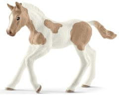 sarcia.eu SLH13886 Schleich Horse Club - Konjsko žrebe pasme Paint, konjska figura za otroke od 5. leta naprej