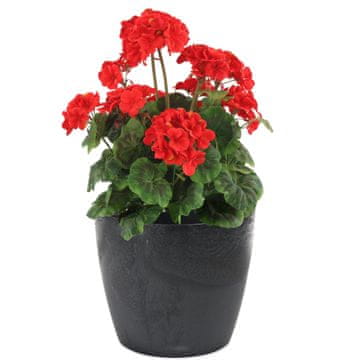botle Lonec za rože Lonec za rože Betonski videz Črna okrogla 21cm V 18,5cm Površina Mat plastika Moderni glamur