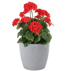 botle Lonec za rože Lonec za rože Betonski videz Siva okrogla 21cm V 18,5cm Površina Mat plastika Moderni glamur