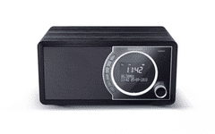 Sharp Digitalni radio DR-450 BK, črn