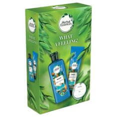 Herbal Essences Repair Argan Oil Shampoo Set šampon Repair Argan Oil 400 ml + balzam Repair Argan Oil 275 ml za ženske