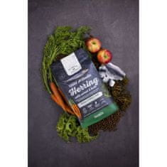 GO NATIVE Small Breed Herring with Carrot and Kale 4kg Ultra-premium hrana za pse majhnih pasem s sledom, korenjem in ohrovtom