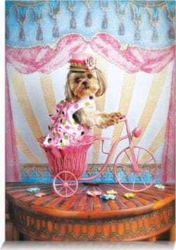 Star Puzzle Sanjski popotnik 500 kosov