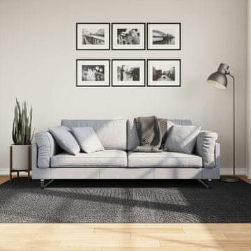 Vidaxl vidaXL Preproga IZA, nizek las, antracit, 160x230 cm